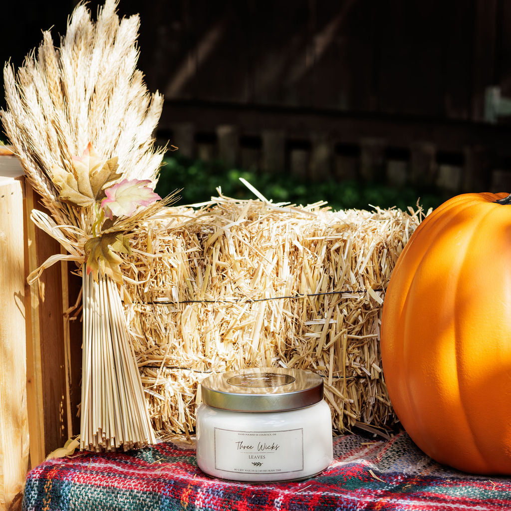 10 oz Traditional Jar - Fall Scents